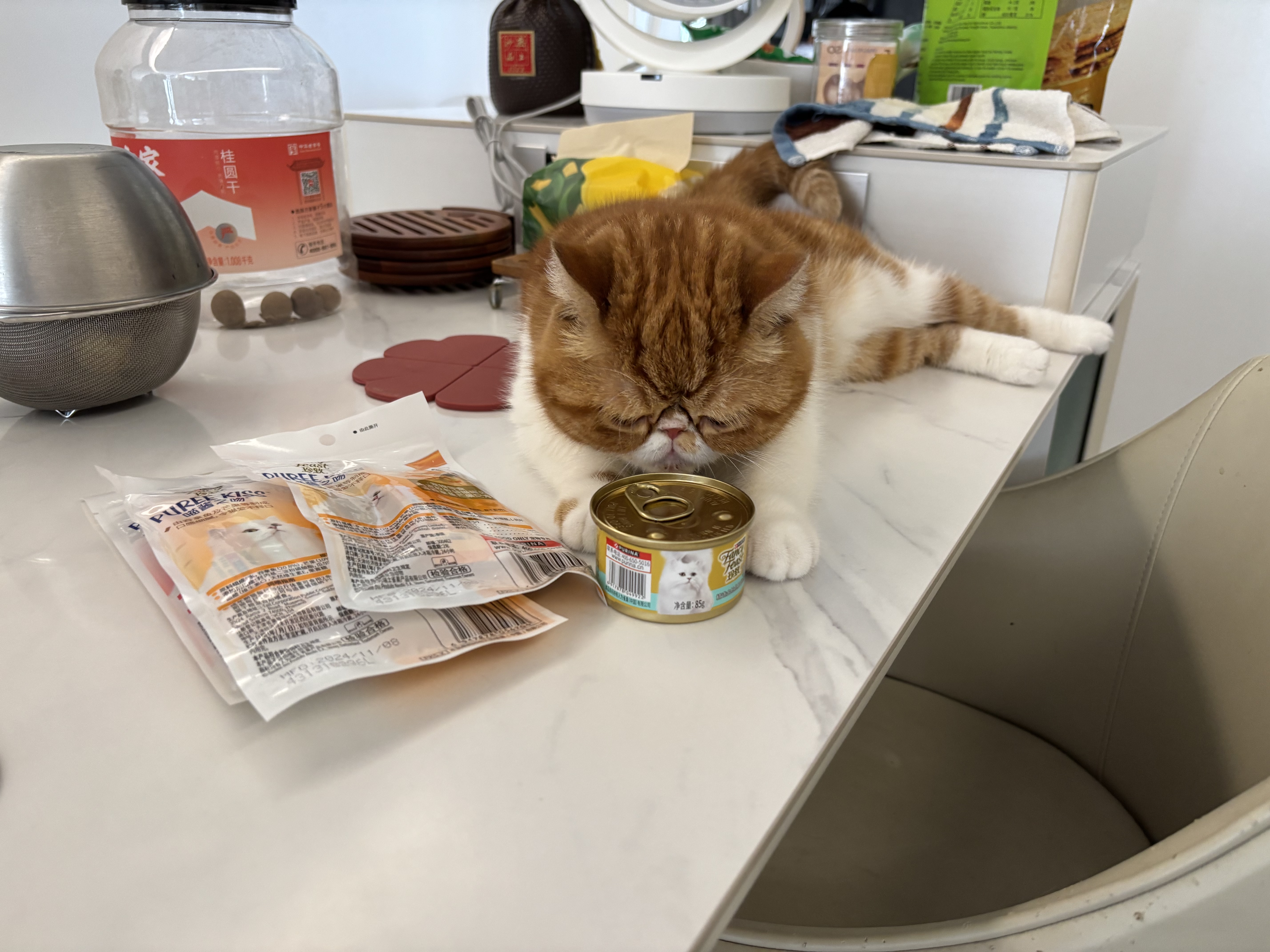 珍致猫条混合口味10g*4支*8包 猫零食喵酱之吻系列 实拍图