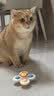 憨憨乐园猫玩具吸盘猫咪转转乐逗猫幼猫小猫逗猫棒自嗨解闷神器玩具 实拍图
