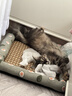 licheers猫狗窝凉席小型犬宠物猫咪睡垫夏季床垫泰迪中大型犬狗垫子 M号 实拍图