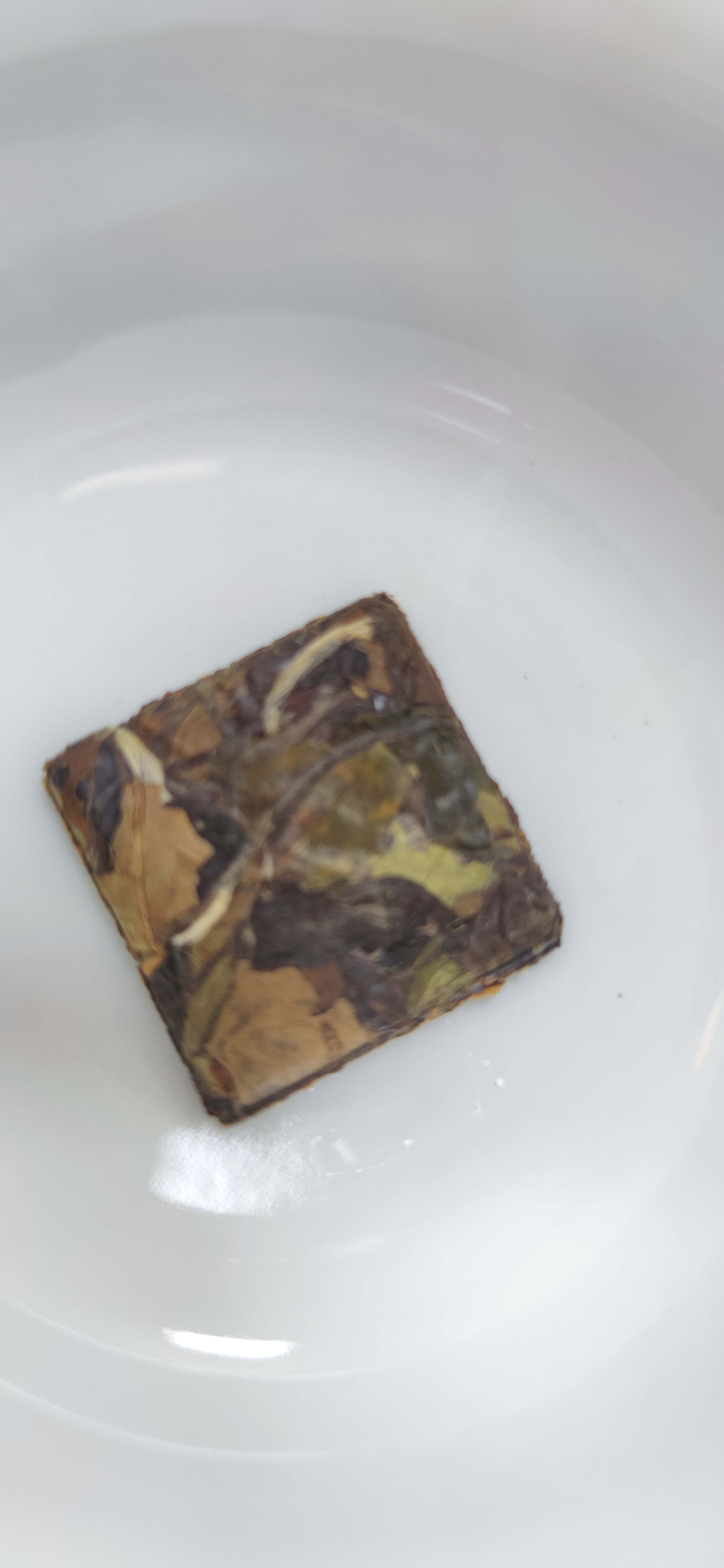 郑莲英（ZHENGLIANYING）白茶2021年陈皮白茶福鼎五年陈高山贡眉特级240g自己喝口粮茶 实拍图