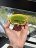 鲜京采超浓抹茶挞生巧黄油燕麦挞 360g 6枚装 实拍图
