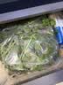 有机杏鲍菇200g 实拍图