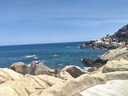 绿鼻子（green nose）植物精油防护贴儿童宝宝天然防护贴夏季户外防护送驱蚊贴驱蚊神器 奥特曼之章*48枚* 12贴 4包 12枚/包 实拍图