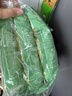 双塔龙口粉丝200g*3袋凉拌粉条水晶粉鸭血粉丝南北干货烧烤火锅食材 实拍图