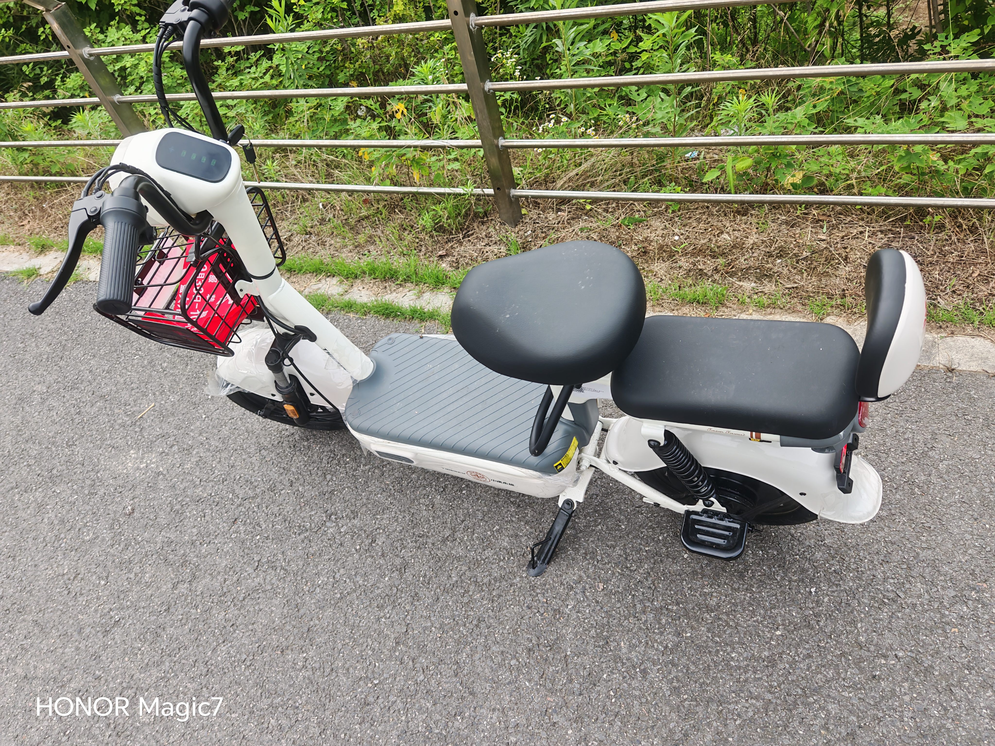 驰小虎电动自行车 吉祥虎新国标电动车电动自行车48V12Ah铅酸电池长续航电瓶车成人代步车电车白色 实拍图