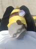 网红小鲨bee搞怪创意毛绒公仔抱枕生日情人节礼物 鲨鱼Bee 23厘米 实拍图