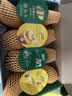 佳沛（zespri）新西兰阳光金奇异果 8个装 特大果单果重约124-146g 水果猕猴桃 实拍图