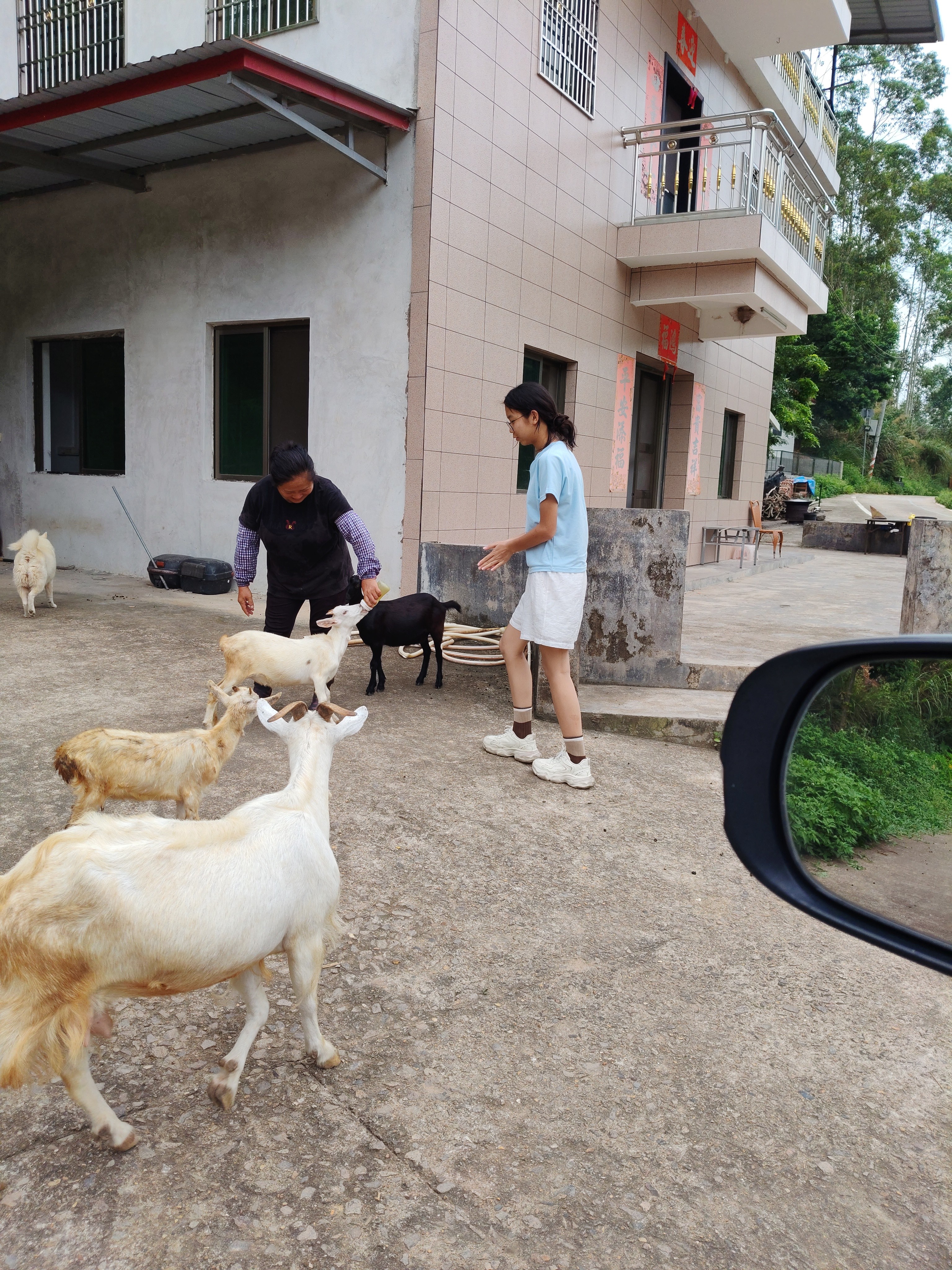 英典（YINGDIAN）K8指纹锁智能门锁民宿公寓密码锁入户门智能锁家用防盗门电子锁 (九合一开锁+远程开门)指导安装 实拍图