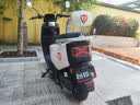 台铃电动车72V长续航电动摩托车1200W大功率时尚男女电摩电瓶车 银河灰/72V23A电池/1200W电机 实拍图