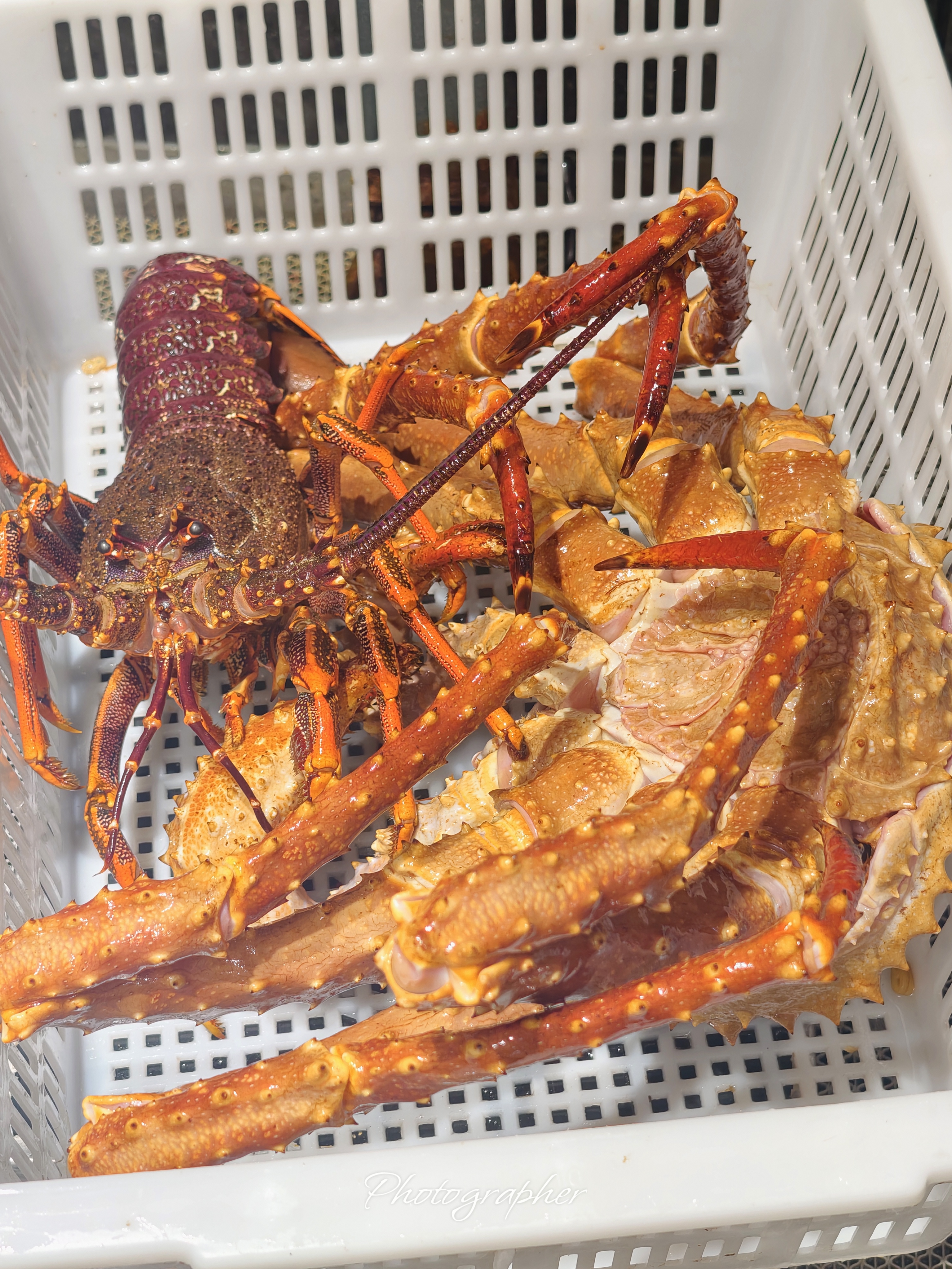 三都港 冷冻去刺黄花鱼片235g/2-3片装 儿童鱼柳 海鱼 生鲜鱼类烧烤食材 实拍图