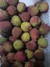 【产地直采】妃子笑荔枝1.5kg（单果16g起） 实拍图