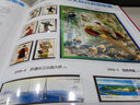1999至2024年集邮年册北方普通册系列 2008年邮票年册北方集邮册 实拍图