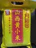 十月稻田 山西黄小米 5斤 真空袋装 山西特产 新米 小米黄小米 杂粮早餐粥 实拍图