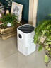 美的（Midea）【母婴级】空气净化器鼻炎家用除甲醛除烟味异味过敏原空气净化机森林家L1 Lite 实拍图