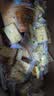 港荣蒸蛋糕无蔗糖480g面包早餐小蛋糕零食糕点甜品代餐下午茶独立包装 实拍图