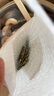 佰瑞特（bairuite）304不锈钢加长开关插座面板螺丝钉4 5 6 7 8公分86型线盒通用螺钉 5公分cm【20个】 实拍图