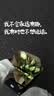 妈妈壹选天然植皂洗衣液清香型6斤组合装（瓶1kg+补充袋装1kg*2）洁净污渍 实拍图