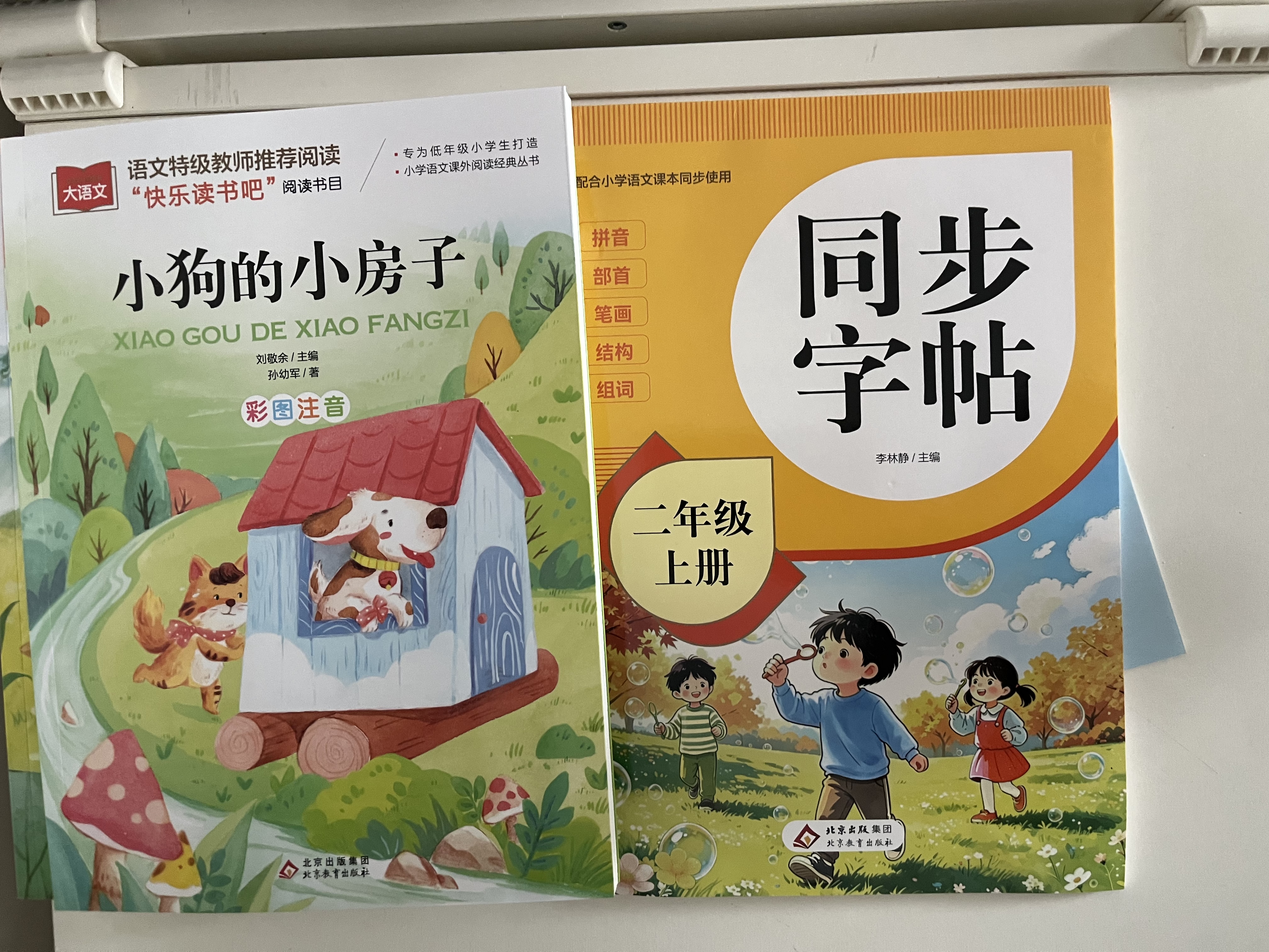 快乐读书吧二年级上 彩色注音（5册）孤独小螃蟹+小鲤鱼跳龙门+一只想飞的猫+小狗的小房子+歪脑袋木头桩 万物复书八桂悦读二年级 实拍图