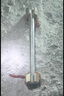 永安固植筋胶建筑环氧型注射式枪混凝土加固粘钢结构胶钢筋锚固剂红色款 实拍图