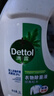 滴露（Dettol）衣物除菌液松木3L 内衣袜子衣物长效杀菌除螨 衣服消毒液儿童可用 实拍图
