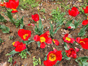 欧莱雅男士白泥洗面奶洁面膏乳全脸控油去油焕亮专用护肤品男生礼物 实拍图