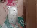 优诺康【医院同款】医用割包皮术后内裤包茎儿童手术后保护内裤环切男士 130码（30-40斤）男性外生殖器术后护理保护罩 非一次性内裤 实拍图
