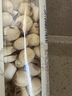 燕之坊广昌白玉贡莲子250g新鲜磨皮带芯干货百合莲子芯银耳羹无硫熏 实拍图