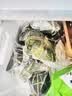 皇中皇肇庆特产裹蒸粽经典早餐组合400克*3只传统鲜肉粽广东粽子 实拍图