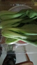 【24小时菜】富硒小油菜200g 实拍图