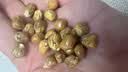 东北哑巴玉米豆原味爆米花炒玉米粒现炒包谷豆苞米花老式休闲零食 原味无添加/口感酥脆不甜 2袋 400克*2袋 实拍图