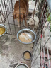 睿福祥土狗家狗通用型幼犬成犬冻干10斤装柯基泰迪金毛边牧中小型犬粮 【营养鲜肉纯粮】5斤装牛肉味 0lb 实拍图