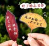 狮洛德 中国风60张书法树叶书签学生文具考试奖励小礼品创意励志文字书页夹 实拍图