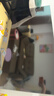 海尔【小红花电视-绽放版】品质款55H5D 55英寸 8核 165Hz 110%   2+64GB 4K超高清1级补贴国家补贴 实拍图