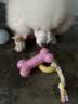 HELLOJOY狗狗玩具球小狗磨牙棒骨头耐咬狗咬胶小型犬宠物用品幼犬自嗨解闷 实拍图