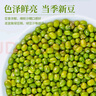 汾都香农家当季新绿豆精品绿豆五谷杂粮精品小绿豆笨绿豆绿豆粥 精品新绿豆5斤装 实拍图