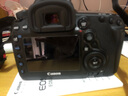 佳能5d4单反相机 Mark IV打鸟摄影器材专业级全画幅高级单反摄影像照相机 单机拆+专业套餐三 实拍图