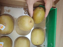 佳沛（zespri）新西兰阳光金奇异果10粒巨大果单果146-175g 猕猴桃水果礼盒 实拍图