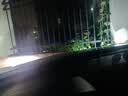 科浦仕适用日产轩逸led大灯泡改装汽车灯泡远近一体远近光灯led灯泡 9K轩逸19-22款【远光】2支装 实拍图