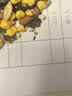 喜帅和尚小太阳鹦鹉专用粮 混合种子主粮中小型鹦鹉粮鸟食饲料800g 实拍图