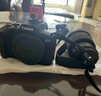 佳能（Canon）EOS R100 小型便捷微单数码相机 4K Vlog高清视频家用旅游美颜照相机 18-45mm套机 专业拍摄套装 实拍图