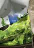 云山半海藻沙拉200g*5袋裙带菜开袋即食海草海带丝凉拌菜日式寿司 实拍图