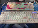 TickType塔塔次方机械键盘DP104三模2.4G蓝牙HiFi成品办公学生游戏铝坨坨无畏契约三角洲 PP闷轴跳跳粉 实拍图