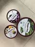 哈根达斯（Haagen-Dazs）葡萄朗姆酒口味冰淇淋 100ml/杯 雪糕 实拍图
