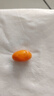 普丽普莱辅酶q10 软胶囊保护心源心脏心脑血管加班熬夜200mg240粒美国进口 实拍图