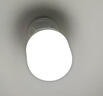 佛山照明大功率LED灯泡30W节能灯具E27螺口6500K白光柱形 实拍图