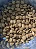 皇家猫粮 绝育成猫粮 SA37 通用粮 1-7岁 2KG 实拍图