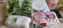 散叶生菜约400g 实拍图