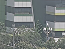七匹狼内裤男纯棉抑菌男士平角裤透气短裤大码四角裤头4条装 经典款 4XL 实拍图