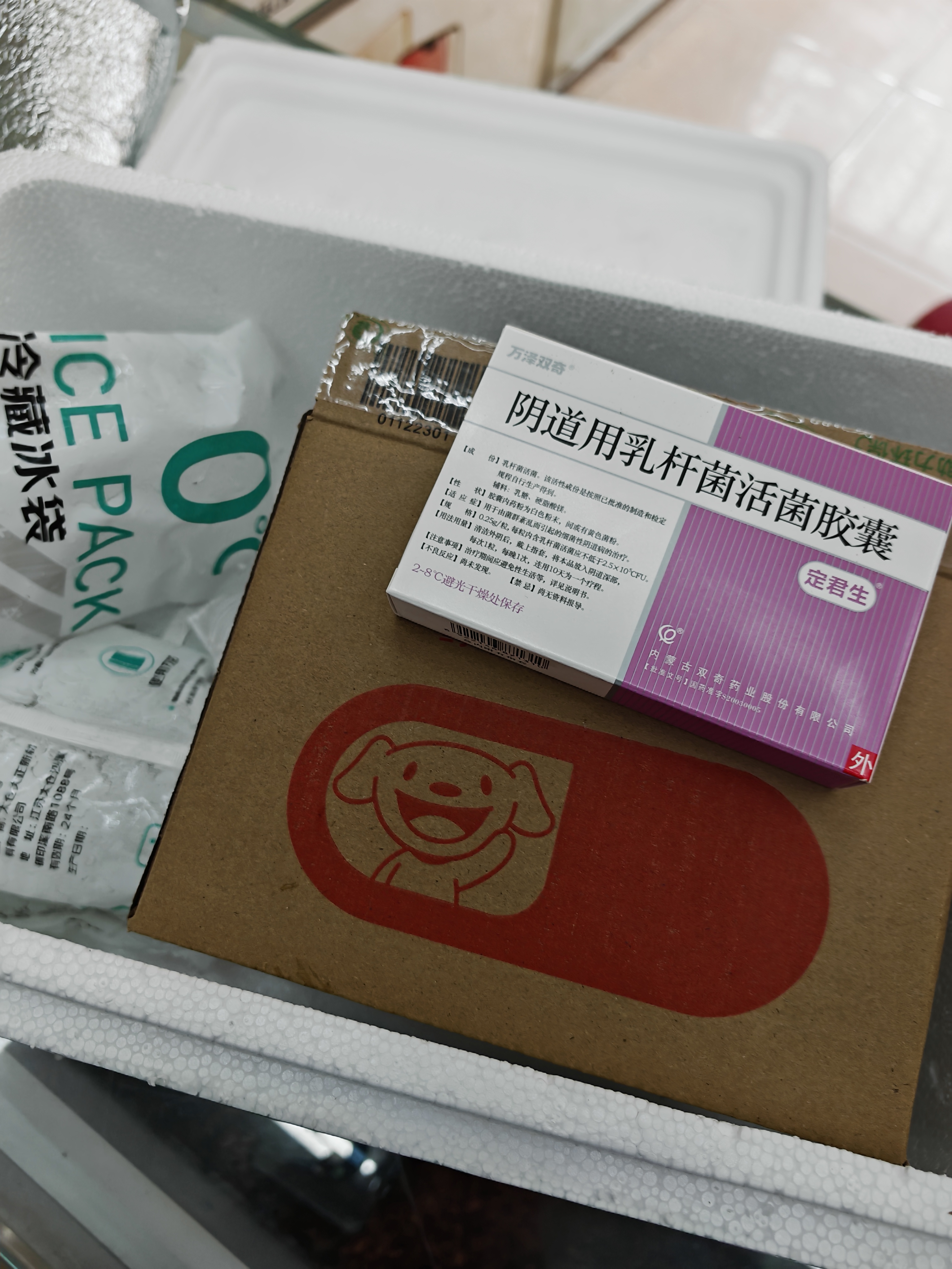 定君生【冷链产品】 阴道用乳杆菌活菌胶囊0.25g*5粒/板*2板/盒 实拍图