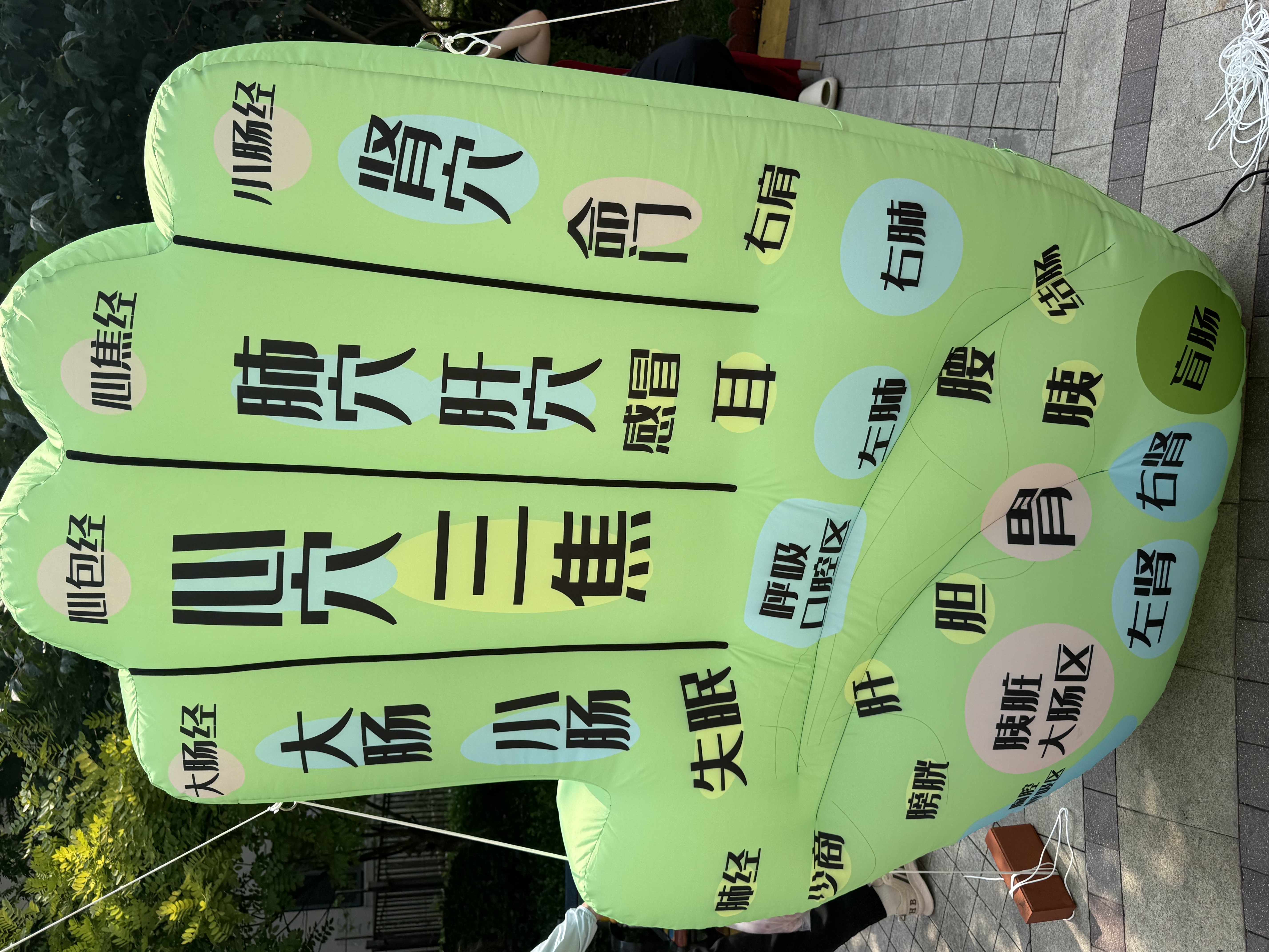 爹地宝贝拉拉裤酷动BB裤成长裤M88片(6-11KG)超薄透气大吸量 实拍图